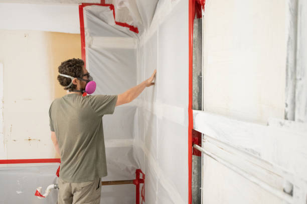 Best Air Quality Testing for Mold Spores  in Laughlin Af, TX