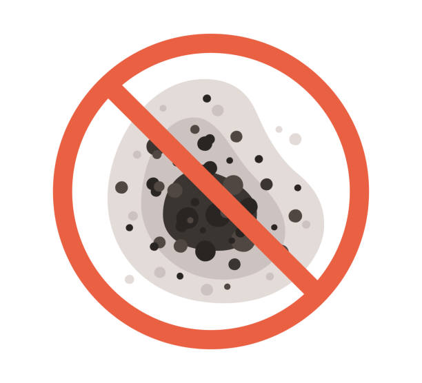 Best Commercial Mold Inspection  in Laughlin Af, TX