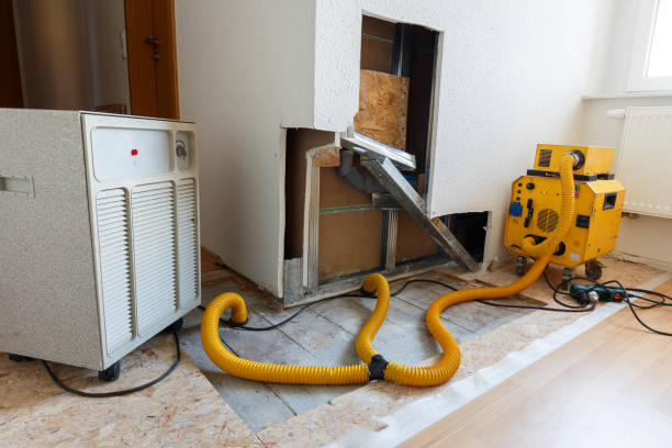 Best Airborne Mold Testing  in Laughlin Af, TX