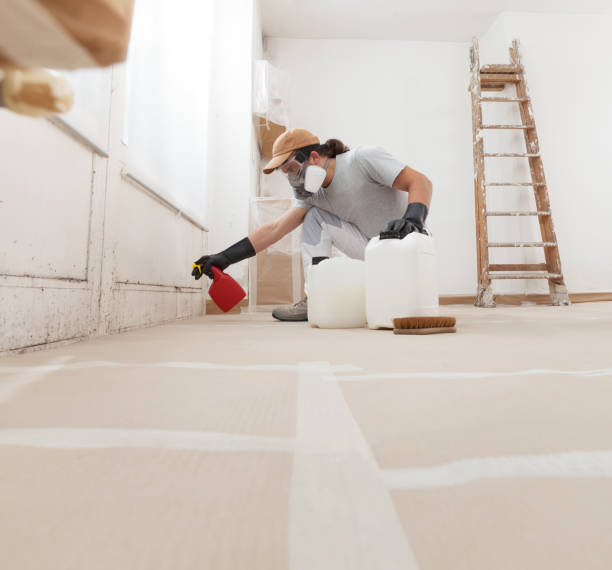 Best Mold Damage Restoration  in Laughlin Af, TX