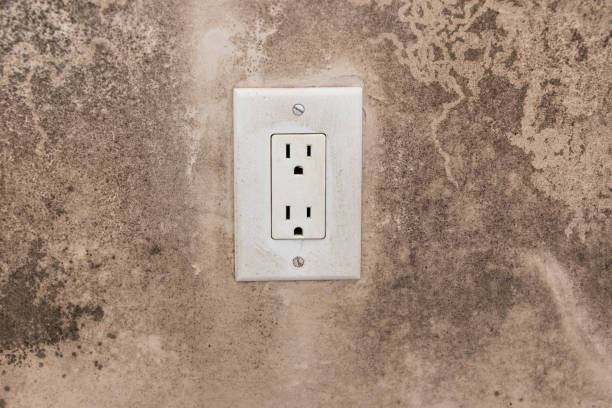 Environmental Consulting for Mold Prevention in Laughlin Af, TX